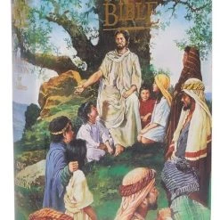 Audience: Boys KJV Bible Seaside Hardcover
