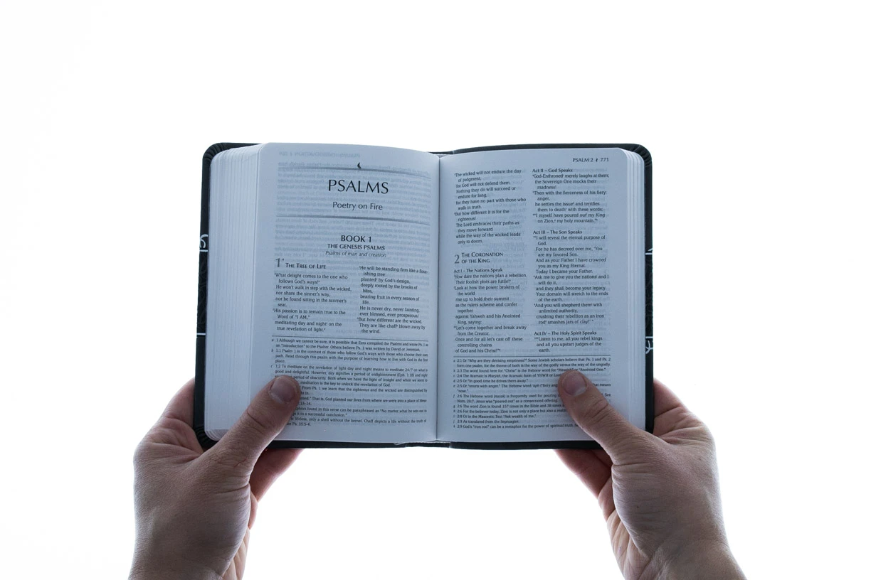 The Passion Translation New Testament Compact Charcoal - Image 4