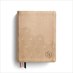 NLT One Step Closer Bible