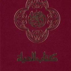NAV Arabic Contemporary Bible/Large Print-Burgundy Hardcover