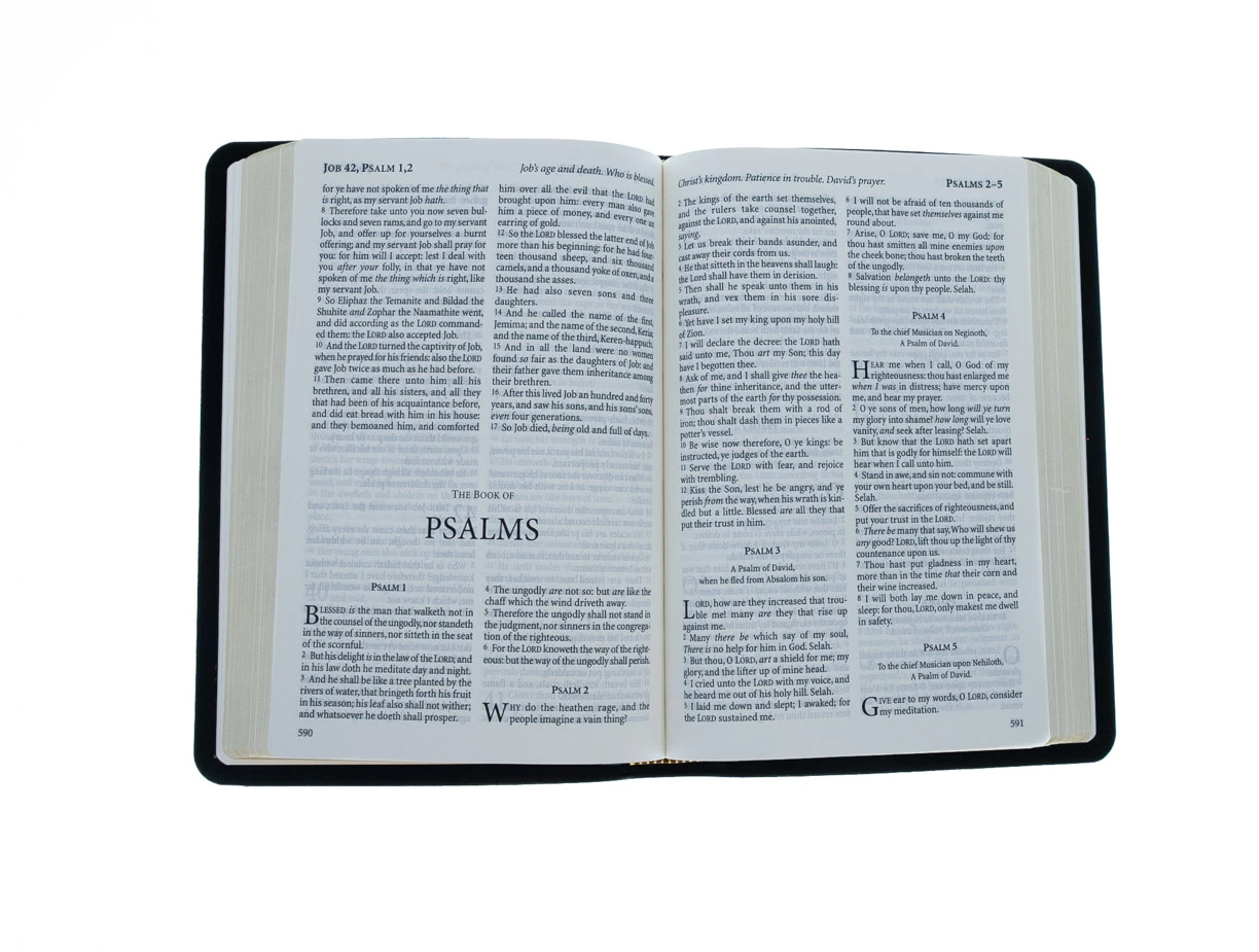 KJV Windsor Text Bible-Black Calfskin Leather - Image 3