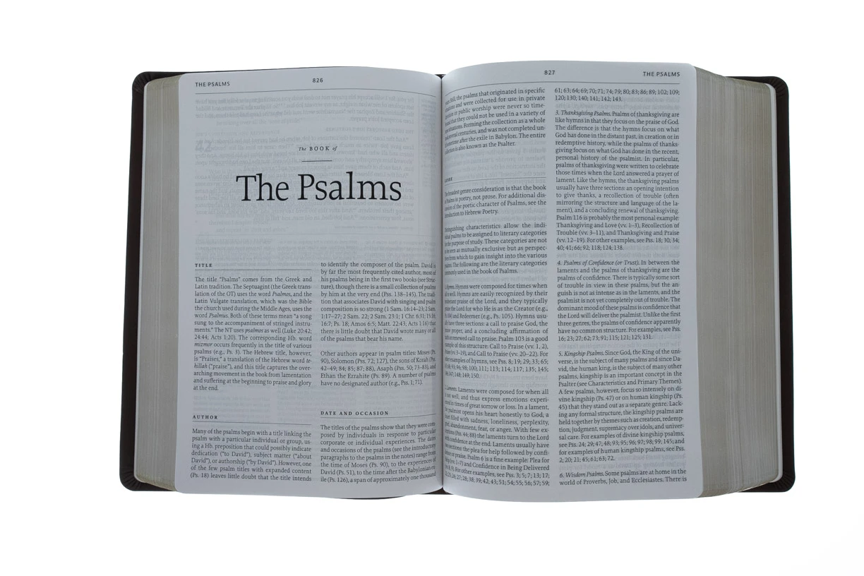 Audience: Pastors ESV Reformation Study Bible-Brown Premium Leather - Image 3