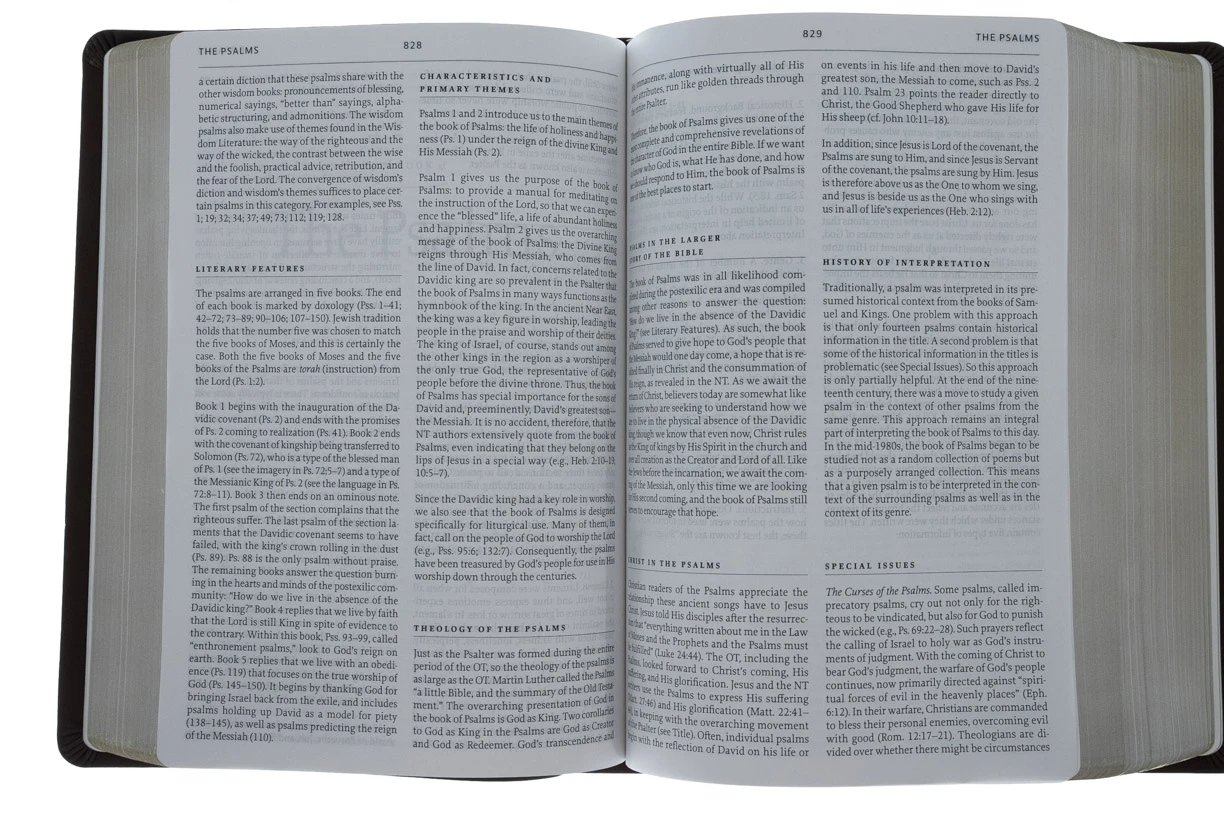 Audience: Pastors ESV Reformation Study Bible-Brown Premium Leather - Image 4