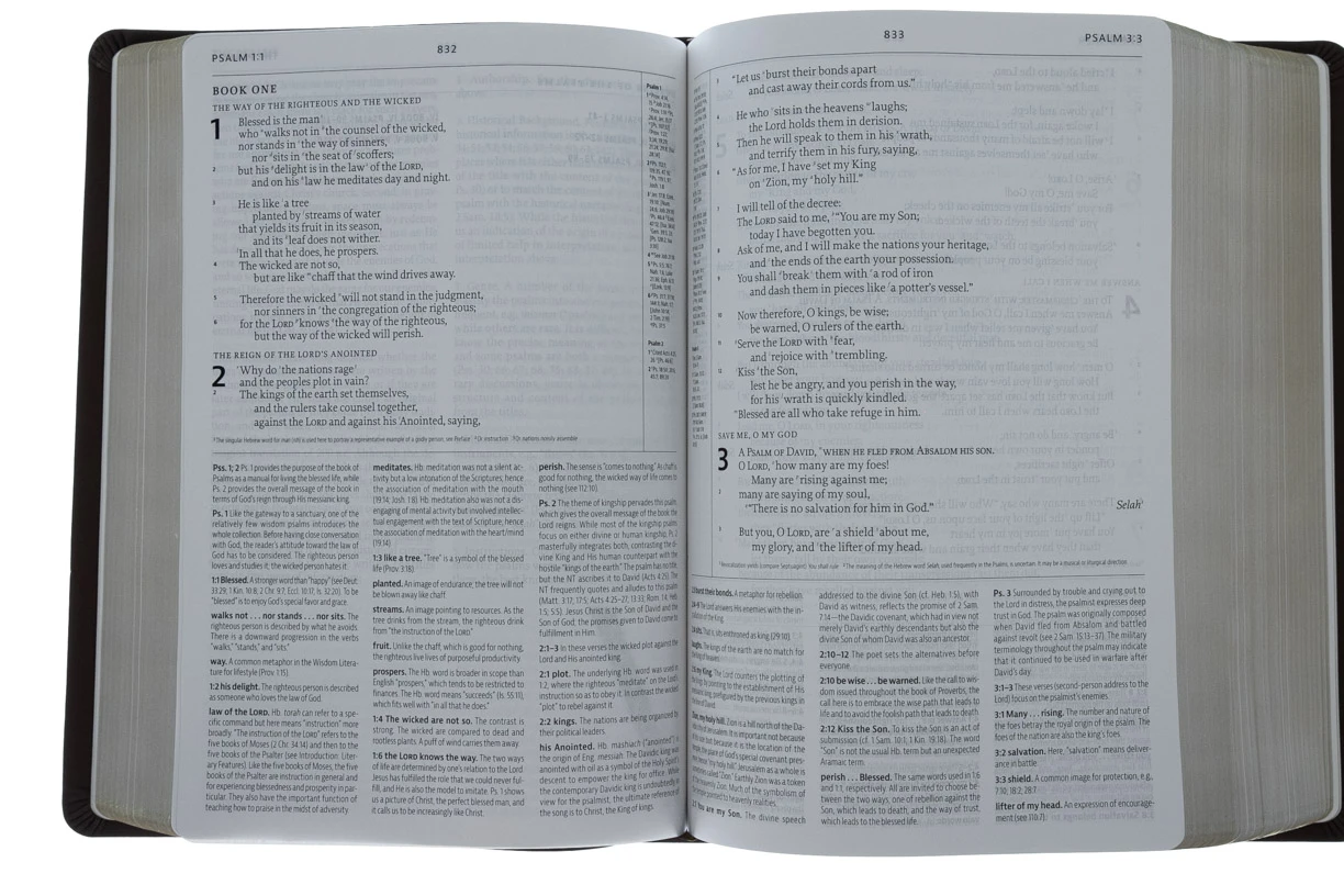 Audience: Pastors ESV Reformation Study Bible-Brown Premium Leather - Image 5