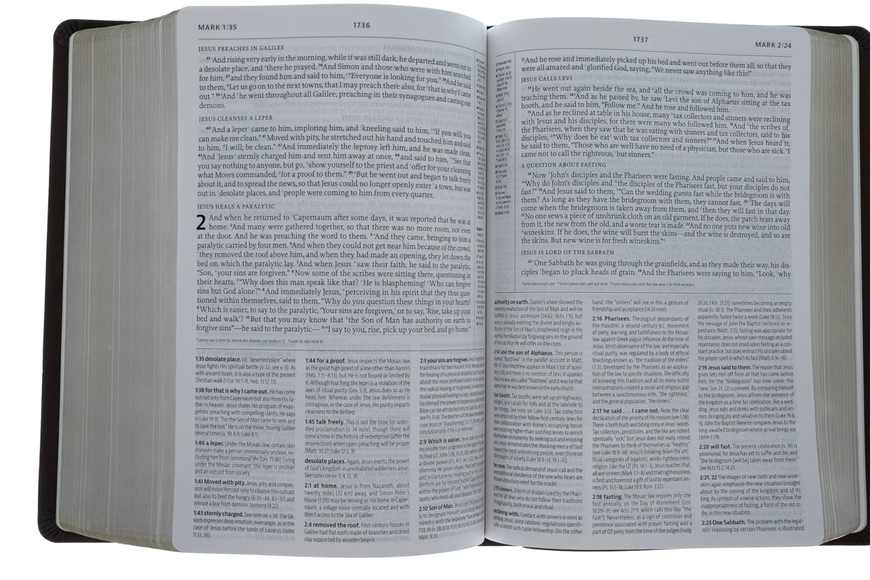 Audience: Pastors ESV Reformation Study Bible-Brown Premium Leather - Image 6