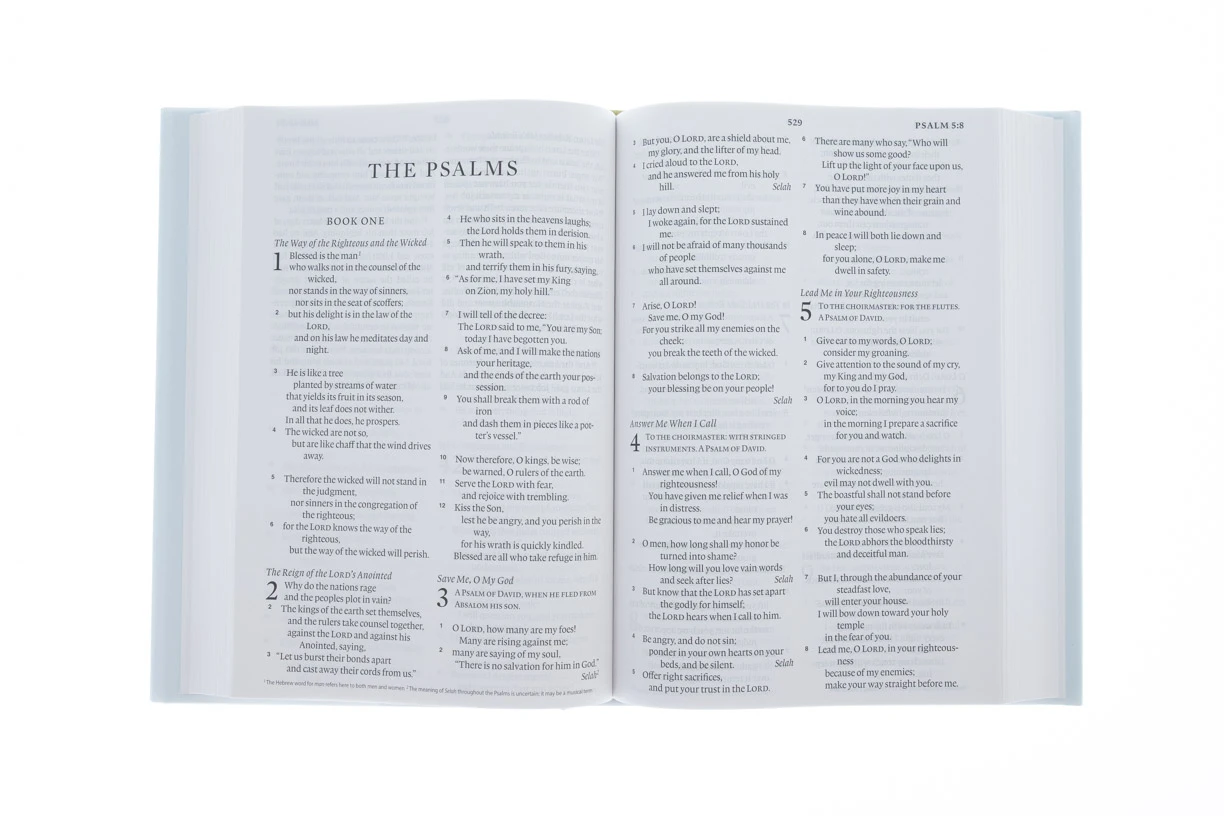 ESV Large Print Bible Blue/Light Blue Hardcover - Image 2