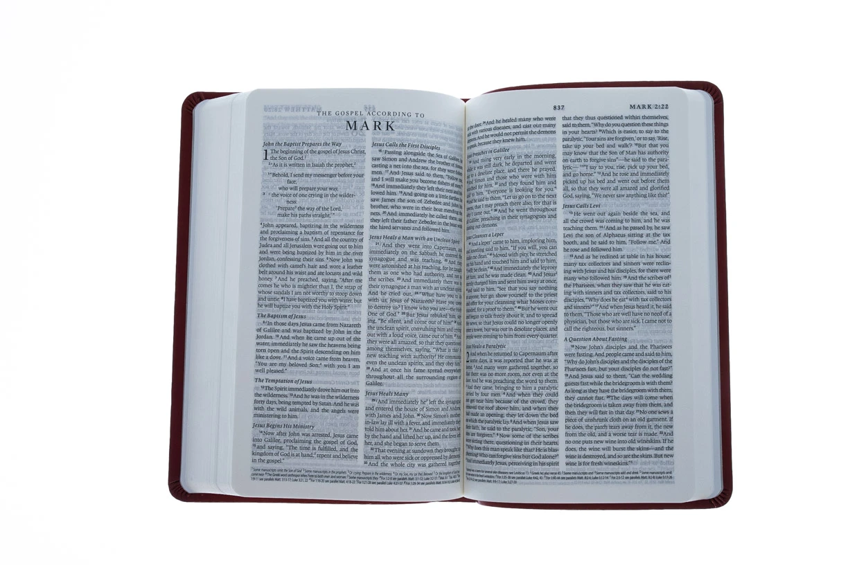 Crossway ESV Premium Gift Bible (TruTone, Ruby, Vine Design) - Image 4