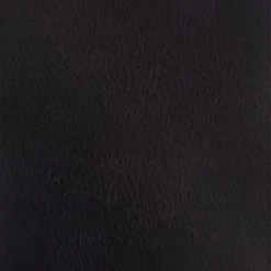 Zondervan ESV Thompson Chain-Reference Bible – Black