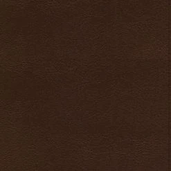 Zondervan ESV Thompson Chain-Reference Bible – Brown
