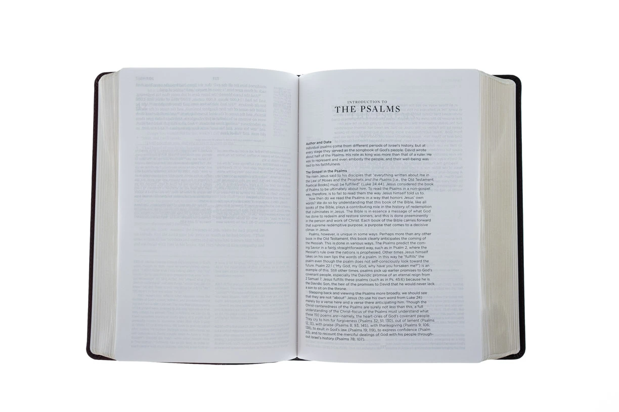 Crossway ESV Gospel Transformation Study Bible TruTone, Burgundy/Red, Imitation Leather - Image 3