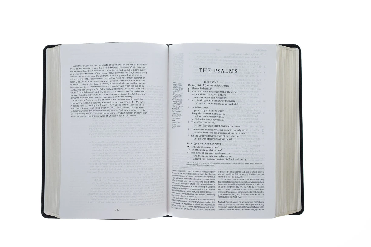 Crossway ESV Gospel Transformation Study Bible-Deep Brown TruTone - Image 4