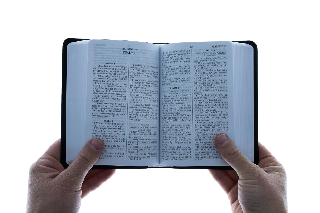 KJV Compact Bible Imitation Leather Large Print - Image 2