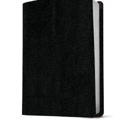 KJV Life Application Study Bible, Third Edition, Large Print (Red Letter, Bonded