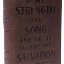 Thomas Nelson KJV Personal Size Reference Bible, Verse Art Cover – Brown