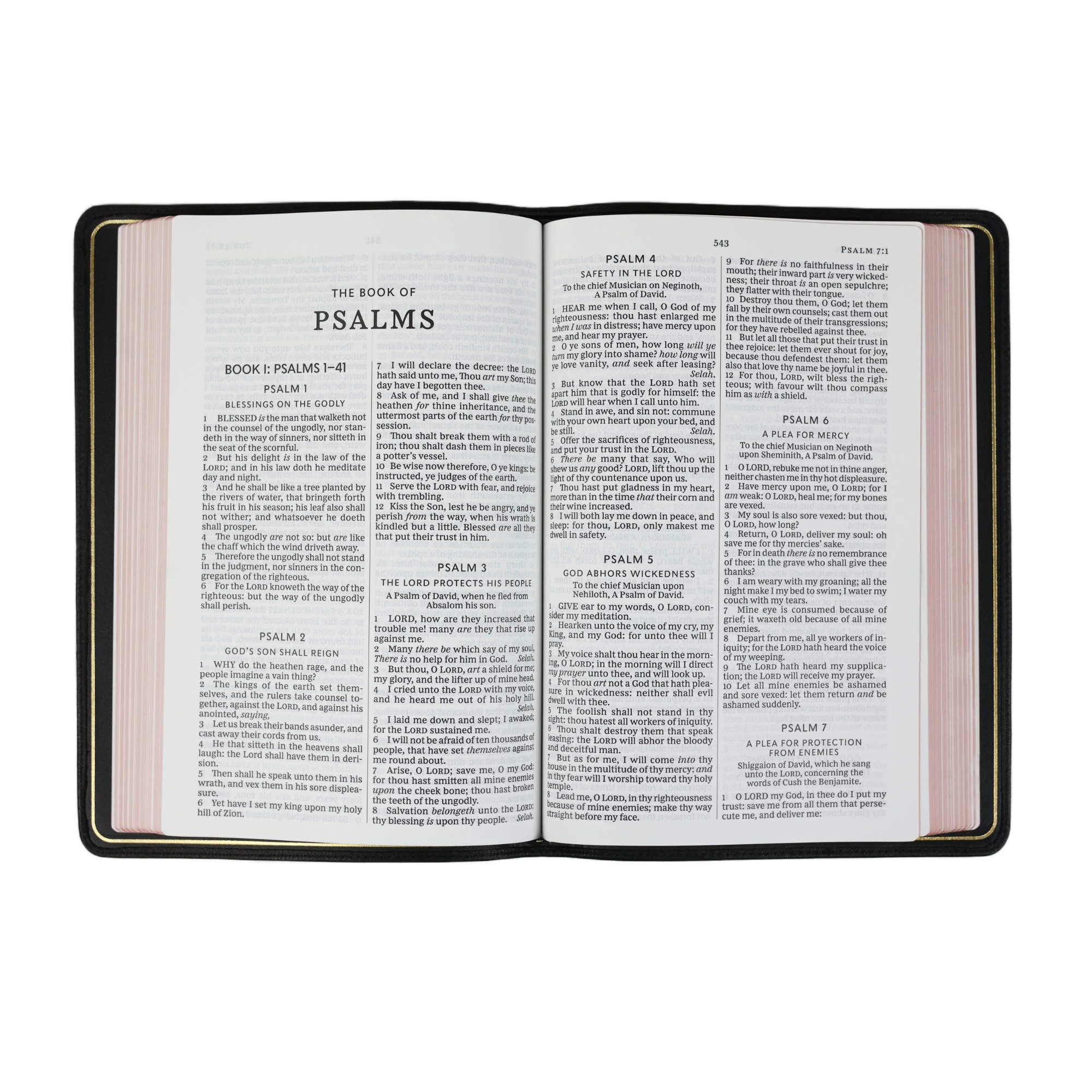 Thomas Nelson KJV Thinline Bible, Large Print – Black - Image 3