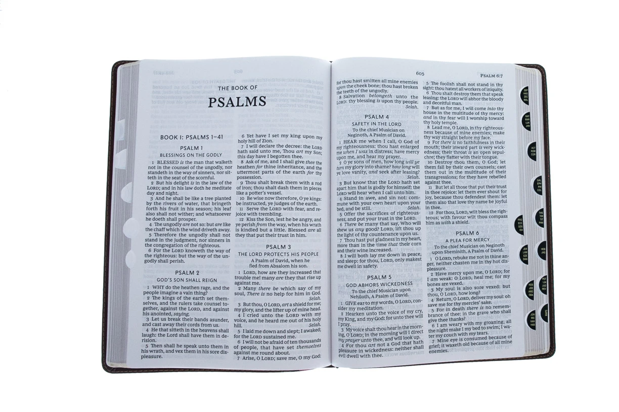 Thomas Nelson KJV Giant-Print Thinline Bible, Comfort Print -Leather-look, Brown Indexed - Image 3