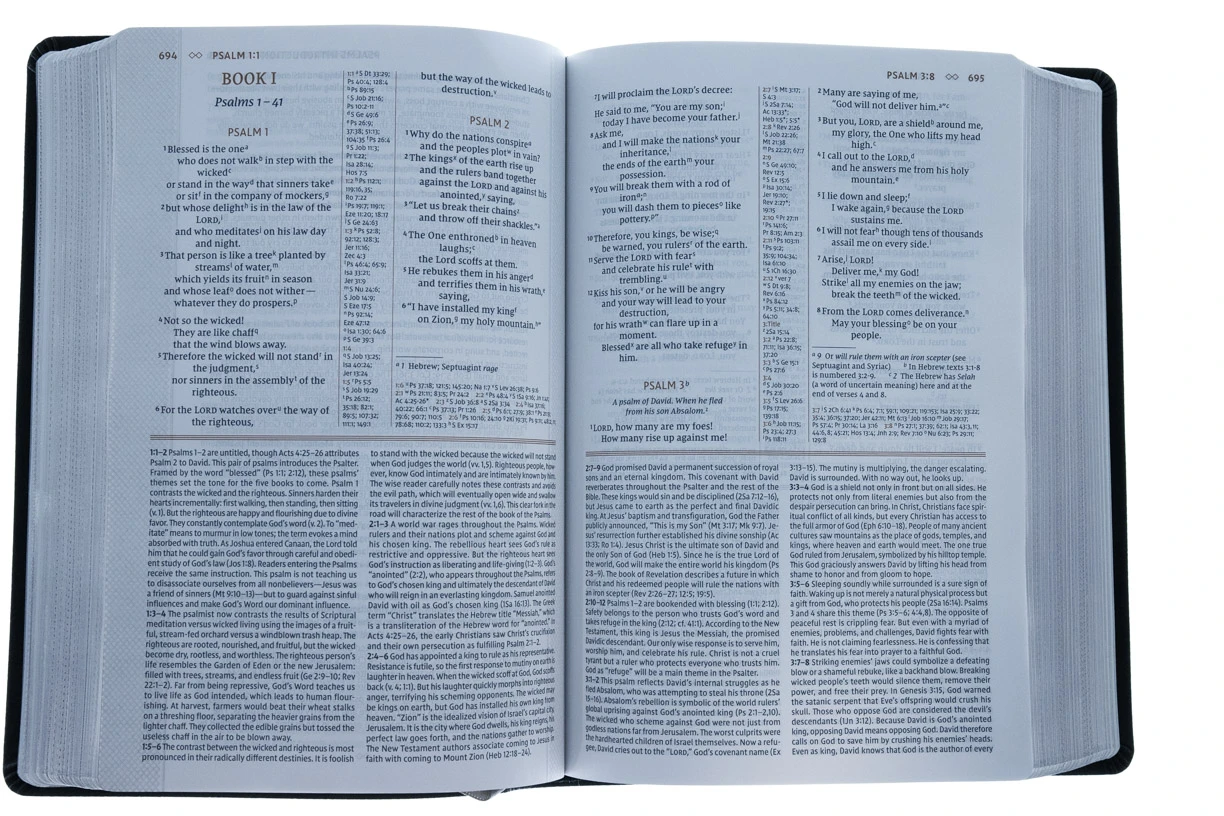 Zondervan NIV Grace And Truth Study Bible, European Bonded Leather - Image 4