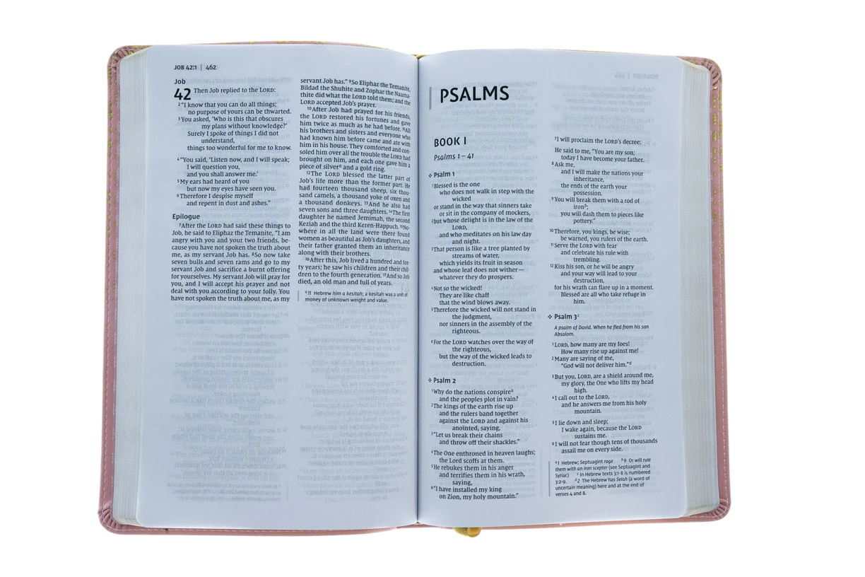 Zondervan NIV, Bible For Teens, Thinline Edition, Leathersoft, Pink - Image 4