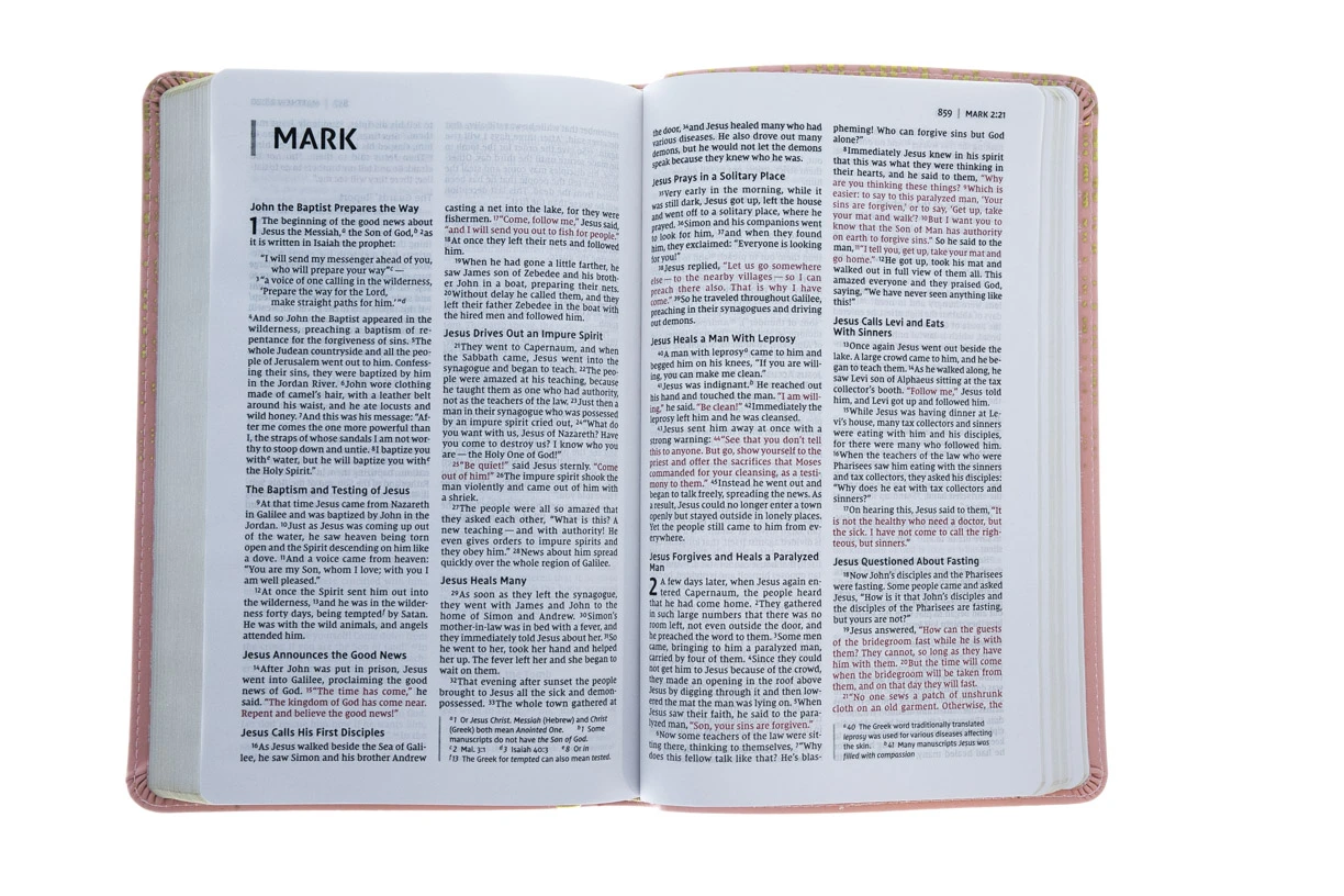 Zondervan NIV, Bible For Teens, Thinline Edition, Leathersoft, Pink - Image 5