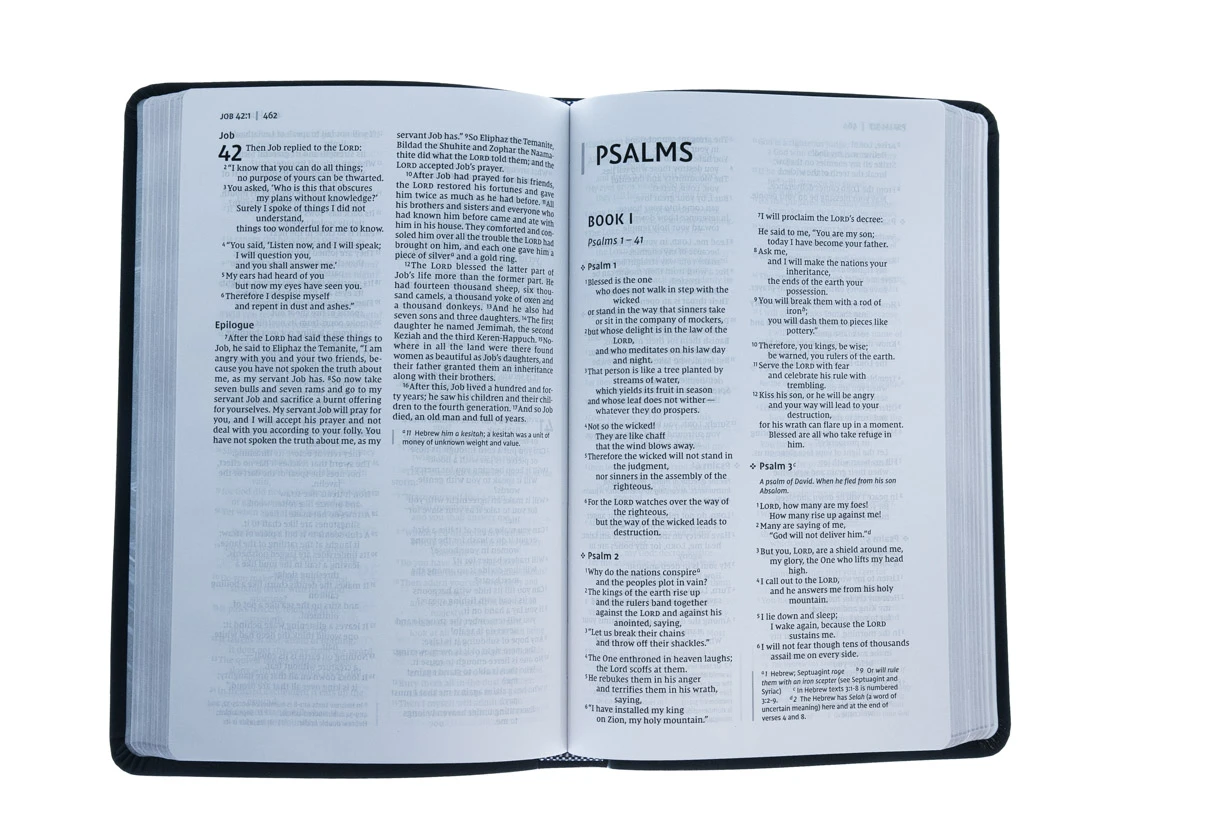 Zondervan NIV Thinline Navy Bible, Bonded Leather - Image 3