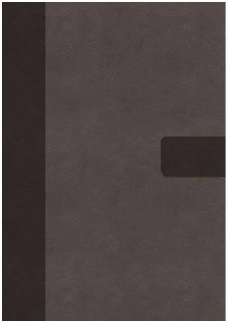 Zondervan NIV Super Giant Print Reference Bible, Leathersoft, Gray