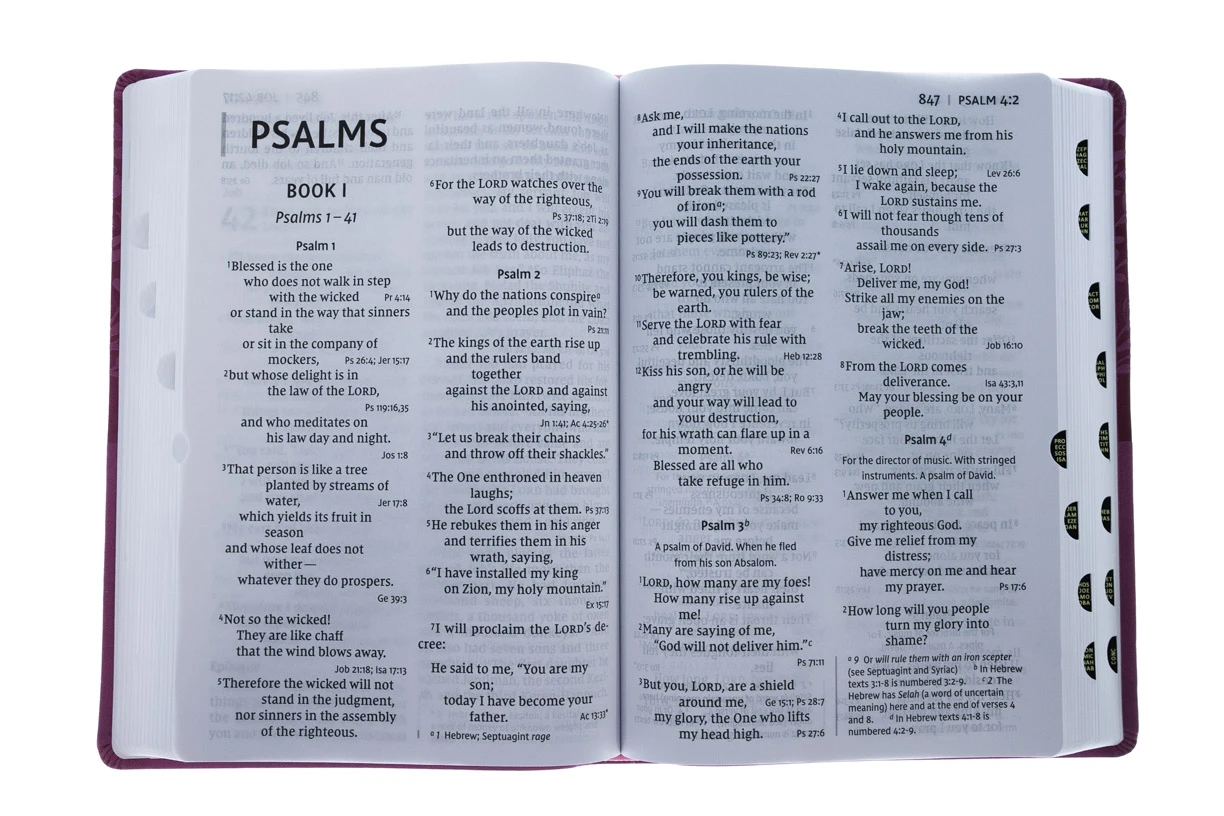 Zondervan NIV Super Giant Print Reference Bible, Leathersoft, Pink - Image 4