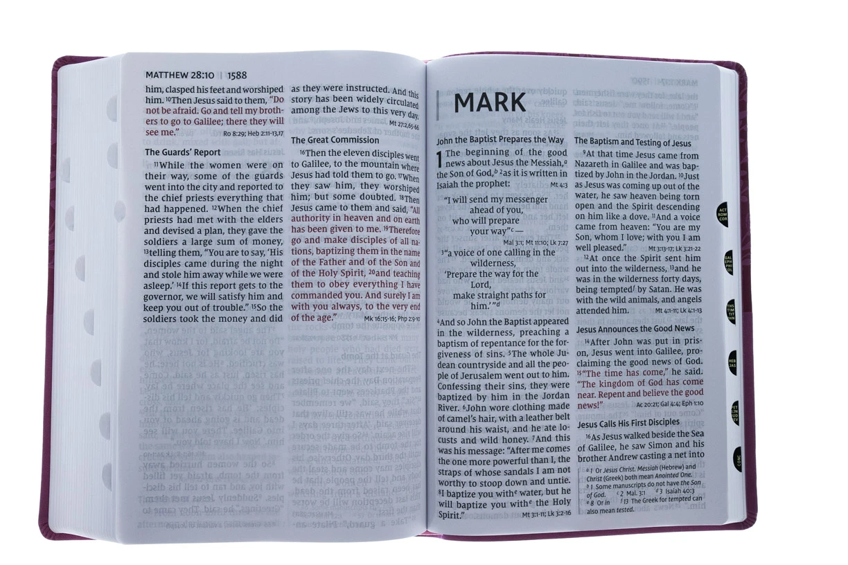 Zondervan NIV Super Giant Print Reference Bible, Leathersoft, Pink - Image 5