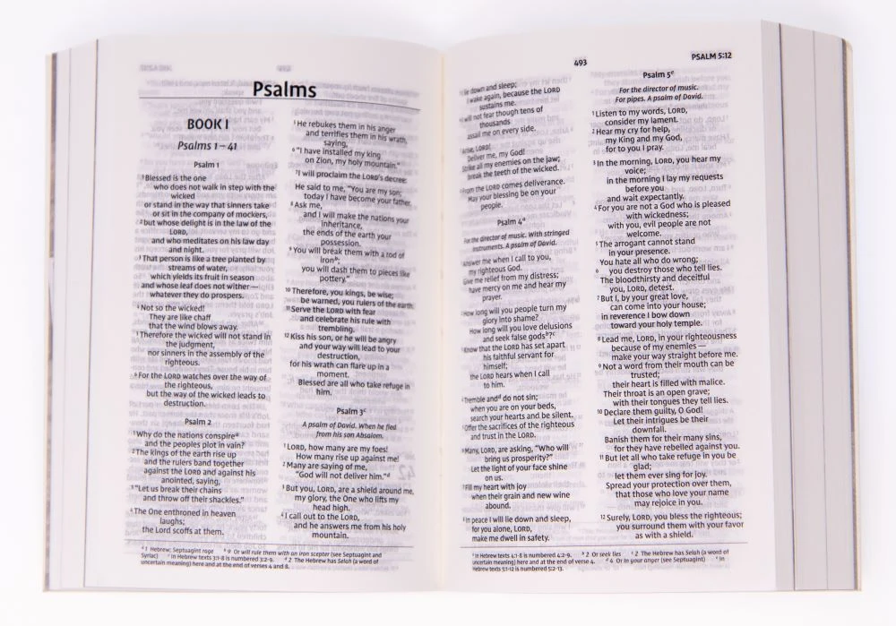 Zondervan NIV Heart Of The Outdoors Bible - Image 2