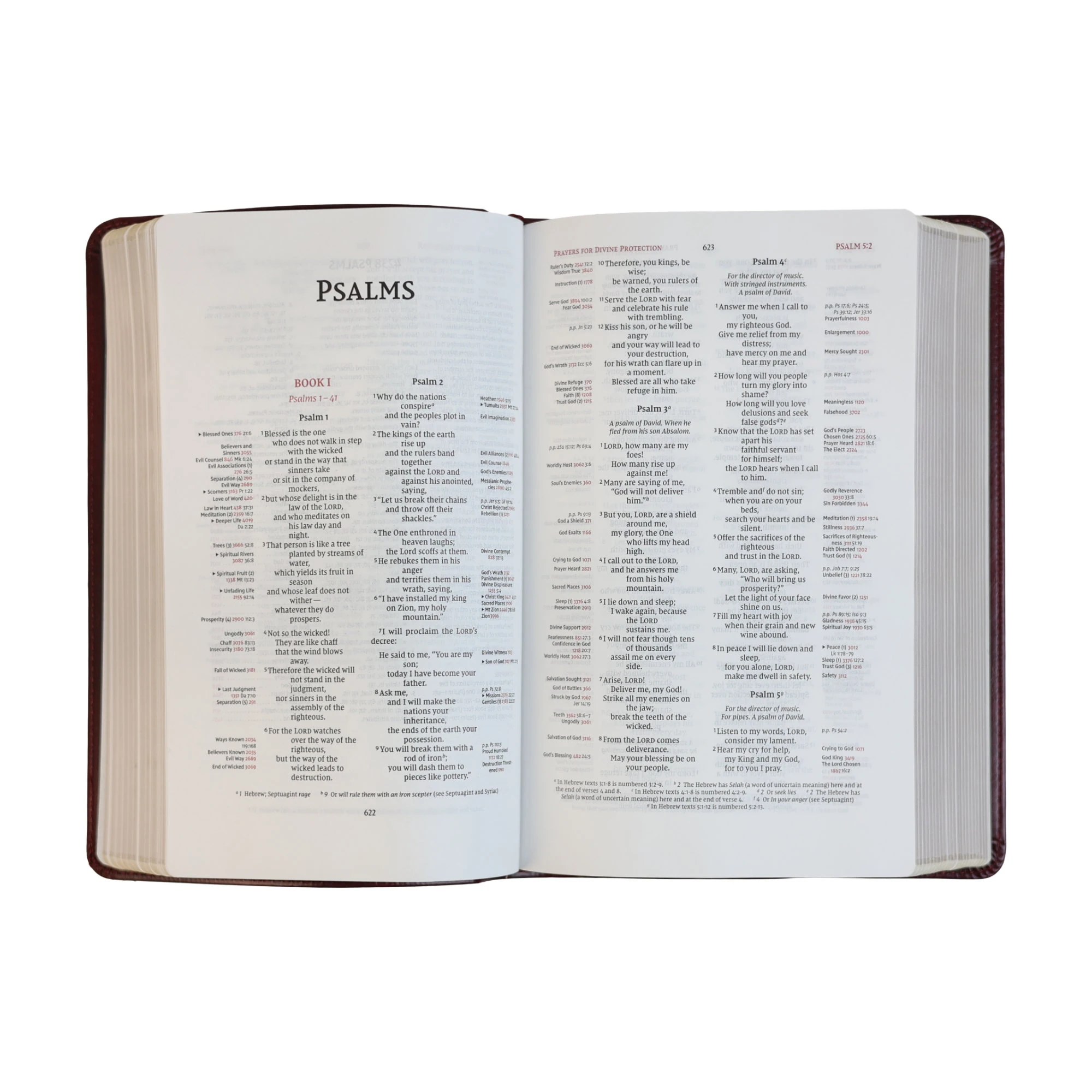 NIV Thompson Chain-Reference Bible, Handy Size, Leathersoft, Burgundy - Image 4