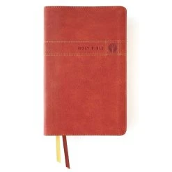 Zondervan NIV Men’s Devotional Bible, Leathersoft Brown