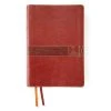 Zondervan NIV Student Bible, Leathersoft, Brown