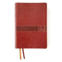 Zondervan NIV Student Bible, Leathersoft, Brown