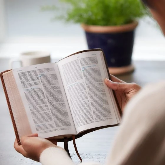 Thomas Nelson NKJV Compact Bible, MacLaren Series, Genuine Leather Black - Image 2