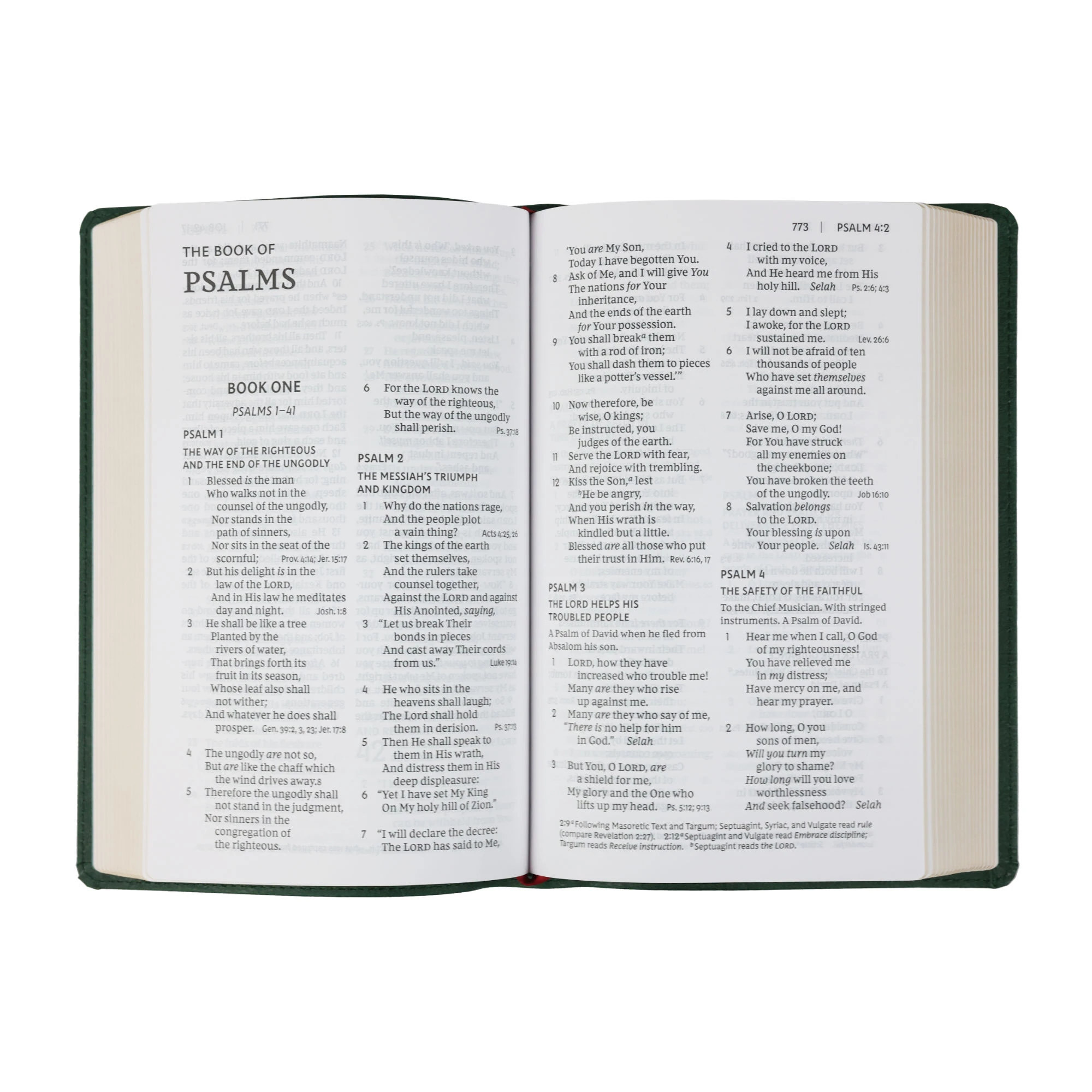 Thomas Nelson NKJV End-Of-Verse Reference Bible β Green - Image 3