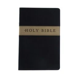 Tyndale House Publishing NLT2 Premium Gift Bible-Tan/Brown TuTone
