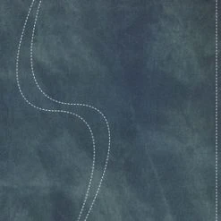 A Young Woman After God’s Own Heart(r) Bible