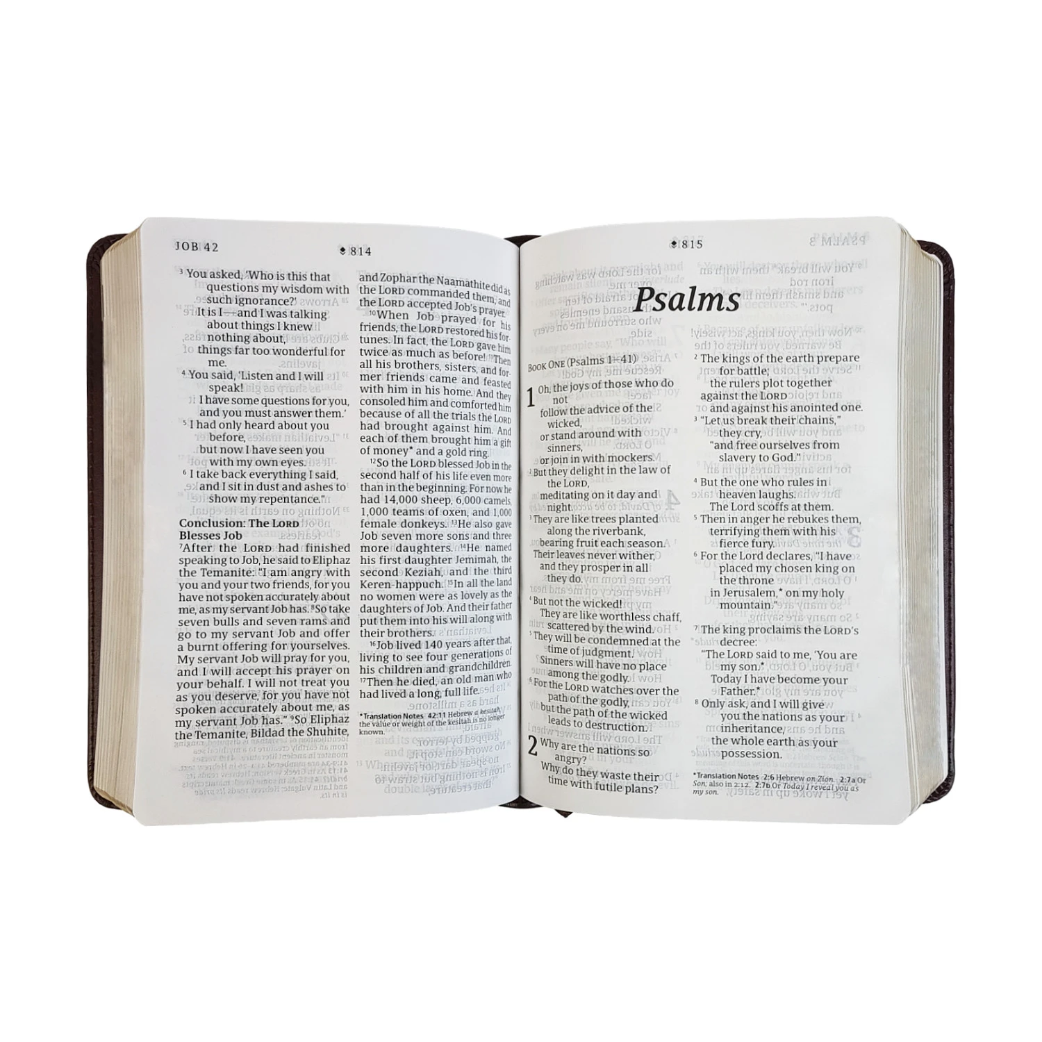 NLT Compact Giant Print Bible - Image 3