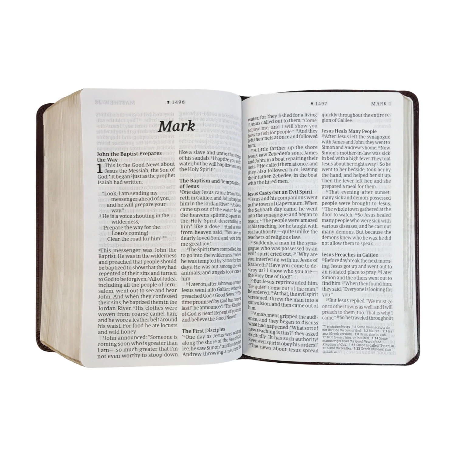 NLT Compact Giant Print Bible - Image 4