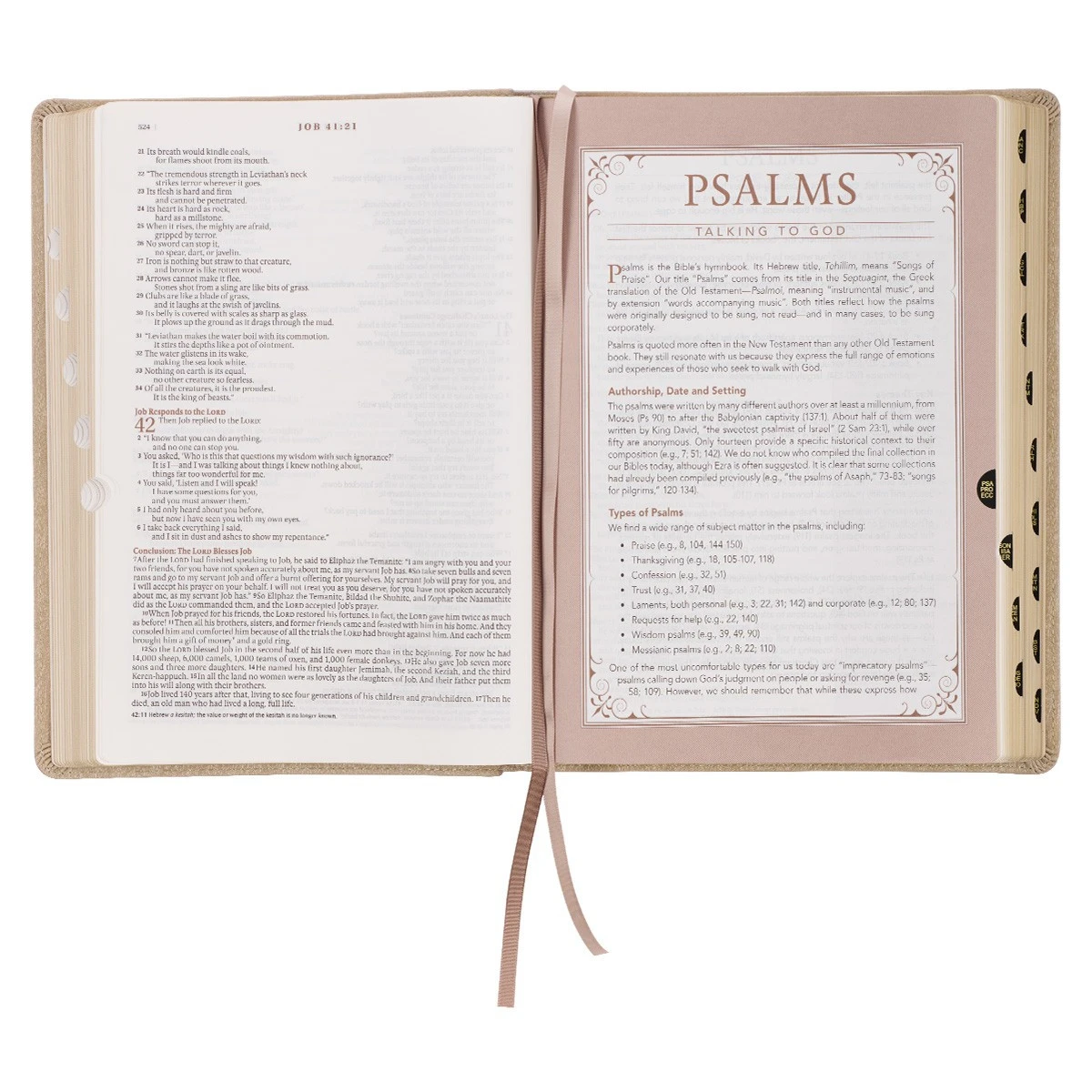 Christian Art Gifts NLT Pearlescent Taupe Faux Leather Spiritual Growth Bible - Image 6