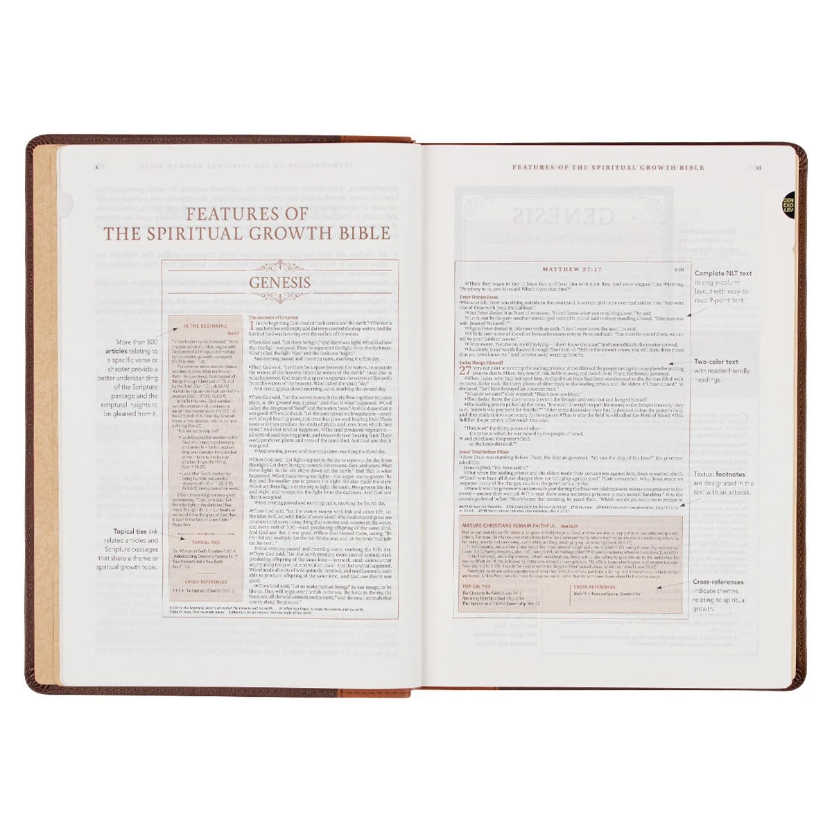 Christian Art Gifts NLT Two-tone Espresso And Toffee Brown Faux Leather Spiritual Growth Bible - Image 5