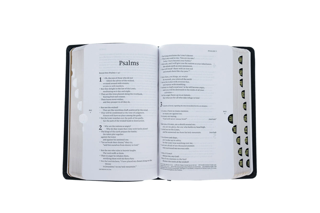 Tyndale House Publishing Filament Bible NLT -Leatherlike, Black, Indexed: The Print+digital Bible - Image 4