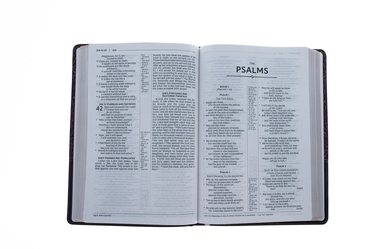 Zondervan NRSV, Thinline Reference Bible, Large Print, Leathersoft, Burgundy - Image 3