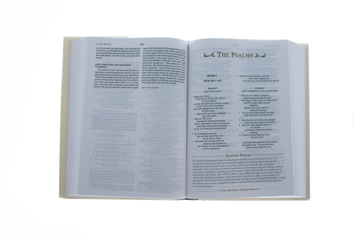 Zondervan Nrsv, The C. S. Lewis Bible - Image 2