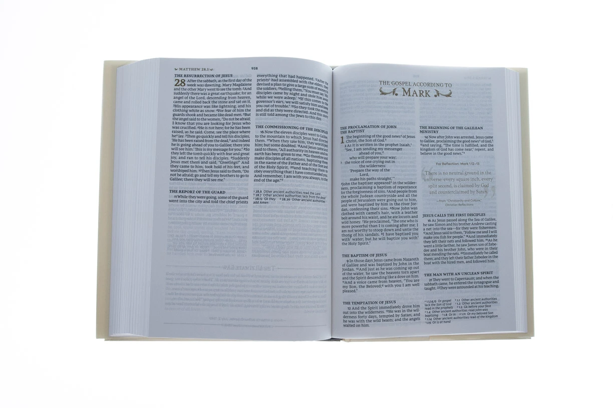 Zondervan Nrsv, The C. S. Lewis Bible - Image 3