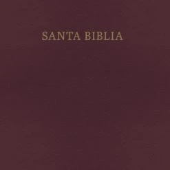Holman Bible Publishers Spanish-RVR 1960/KJV Bilingual Bible-Burgundy Imitation Leather