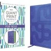 Zondervan NIRV Giant Print Compact Bible For Boys