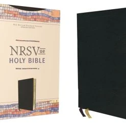 Zondervan NVSVUE Holy Bible, Leathersoft, Black, Comfort Print
