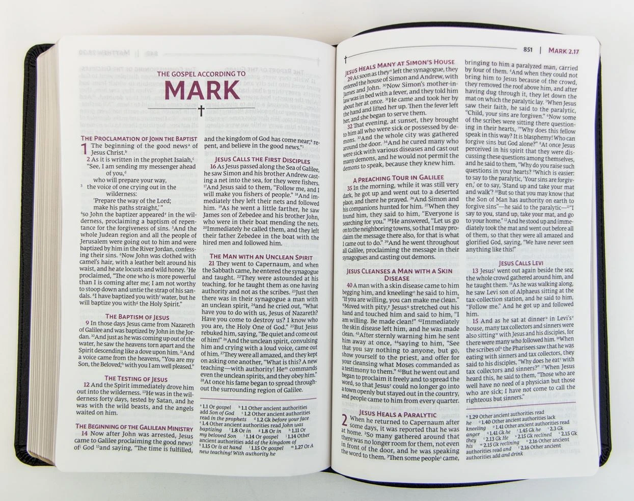 Zondervan NVSVUE Holy Bible, Leathersoft, Black, Comfort Print - Image 3