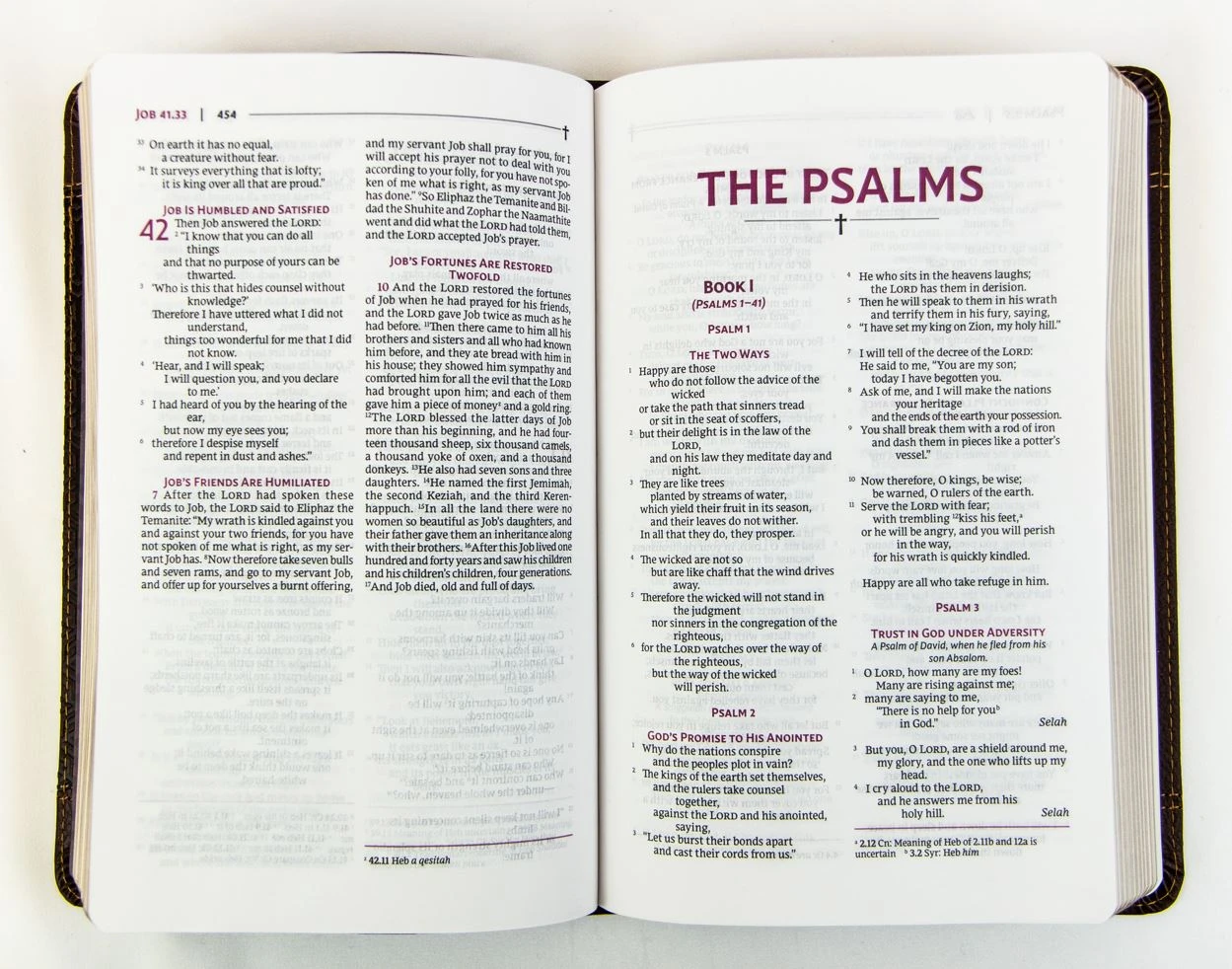 Zondervan NRSVUE Holy Bible, Personal Size, Leathersoft, Brown, Comfort Print - Image 3