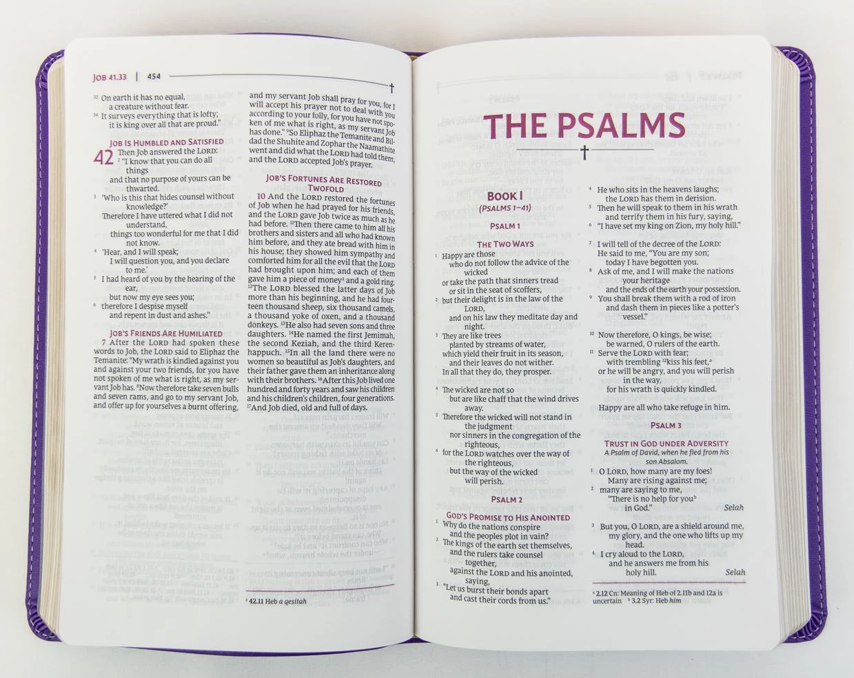 Zondervan NRSVUE Holy Bible, Personal Size, Leathersoft, Purple, Comfort Print - Image 2